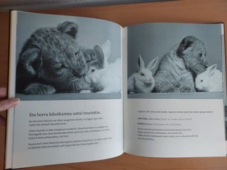 Lehoikumea, primer álbum infantil en euskera NUEVO
