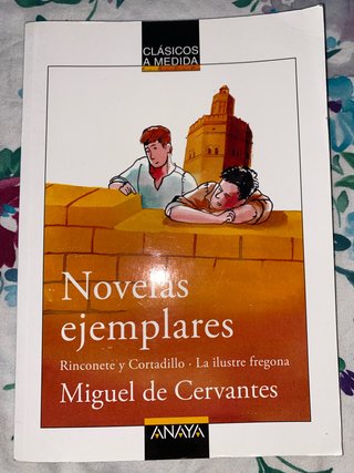 Novelas ejemplares