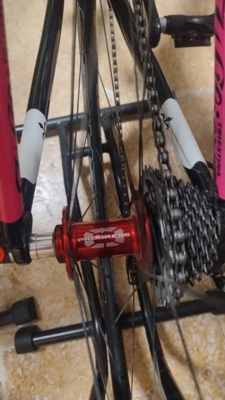 Bicicleta Wilier Triestina Luna XXS