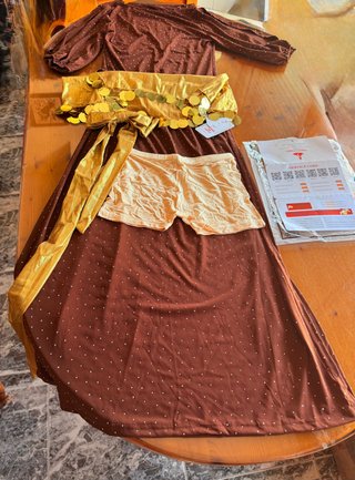 Disfraz danza del vientre talla única