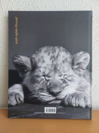 Lehoikumea, primer álbum infantil en euskera NUEVO