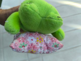 Peluche Rana Verde