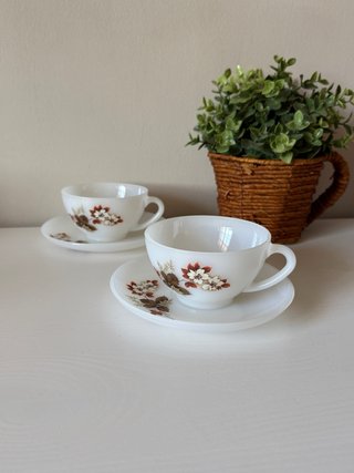 Pareja Tazas Desayuno Arcopal Flor Almendro