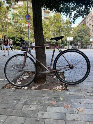 Bici singlespeed Talla M