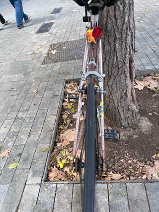 Bici singlespeed Talla M