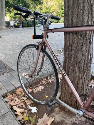 Bici singlespeed Talla M