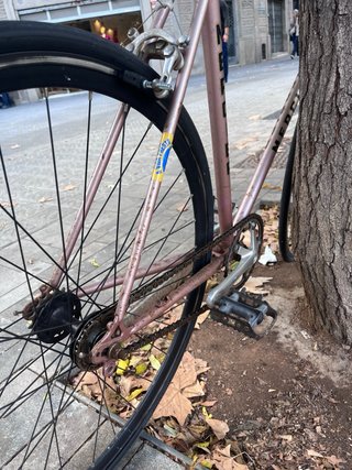 Bici singlespeed Talla M