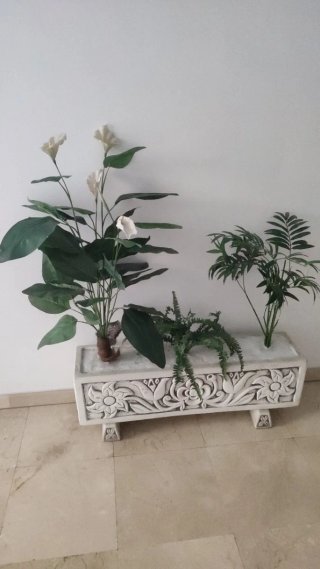 Jardinera de Piedra con Plantas