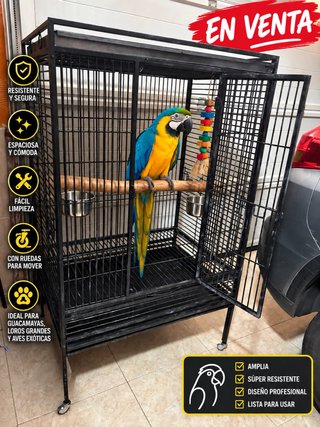Jaulón para guacamayo / loro