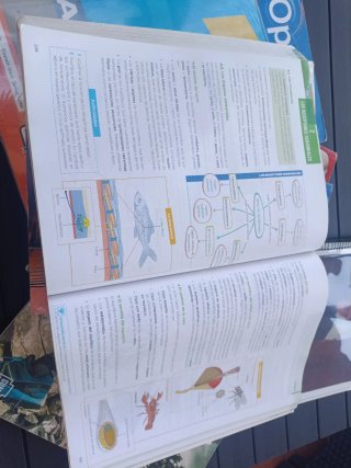 Biología y geología 1 Bachillerato