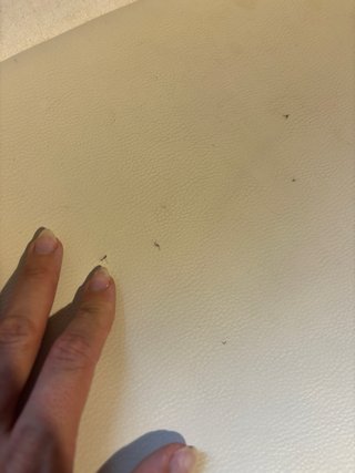Silla de diseño nórdico