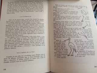 La chica del andén de enfrente