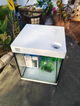 Pecera Cubo 20 Litros con Filtro