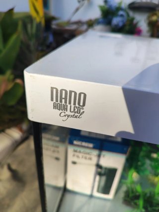 Pecera Cubo 20 Litros con Filtro