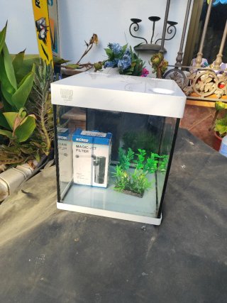 Pecera Cubo 20 Litros con Filtro