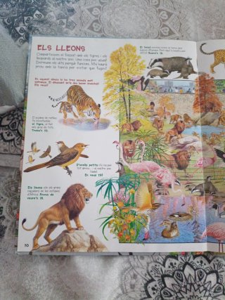 Busca els animals del zoo