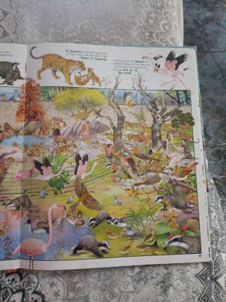 Busca els animals del zoo
