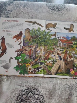 Busca los animales de la granja