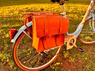 Bicicleta Paseo Vintage
