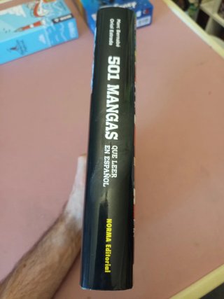 501 mangas que leer en español