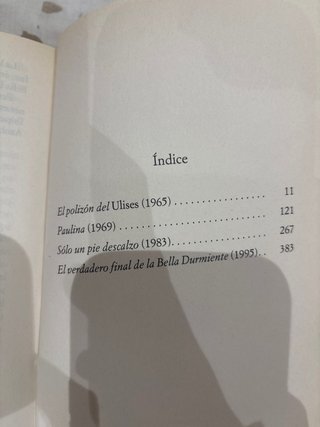 El polizón del Ulises y otros cuentos para jóvenes