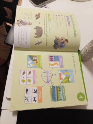 CIENCIAS DE LA NATURALEZA 1 PRIMARIA CONTRUYEND...