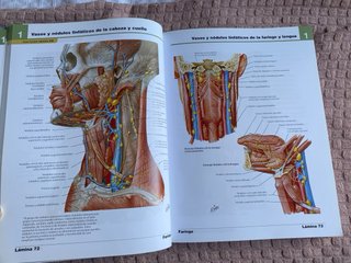 Netter, F.H., Atlas de Anatomía Humana, 4a ed. ...