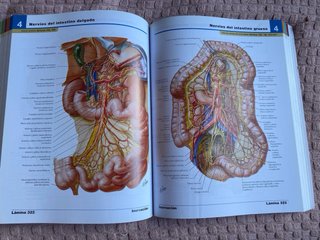 Netter, F.H., Atlas de Anatomía Humana, 4a ed. ...