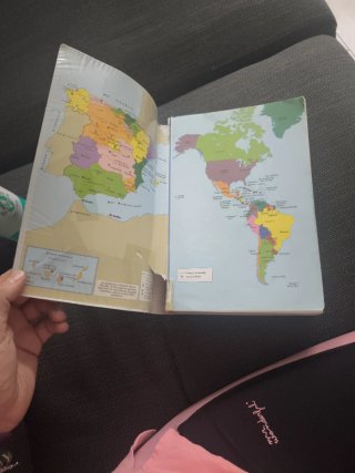 Diccionario de la lengua española Primaria (Niv...
