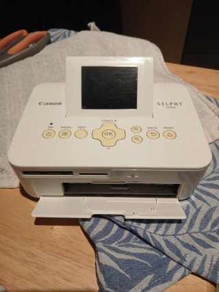 Impresora Canon SELPHY CP810