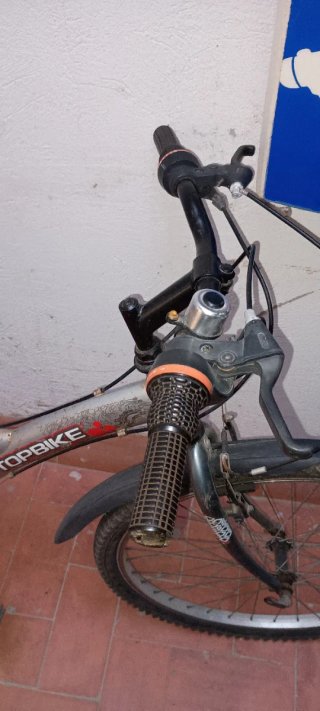 Bicicleta de Paseo Topbike