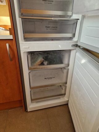 Frigorífico LG Combi No Frost 384L Clase C