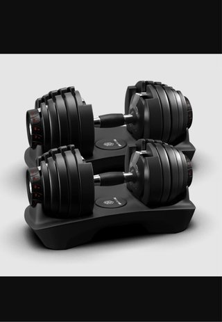 Par de Mancuernas Ajustables AVALON GEAR 40kg