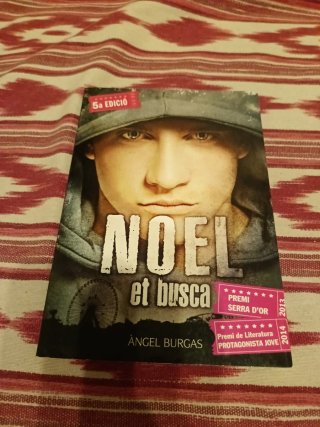 Libro titulado "Noel et busca"