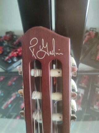 Guitarra Electroacústica Godin Multiac