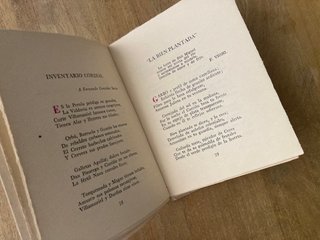 Los poemas de Palencia
