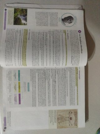 Filosofía 1º Bachillerato. Libro del estudiante...