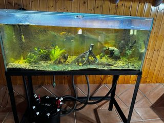 Acuario 200-250L + Filtro Fluval FX4 + Soporte
