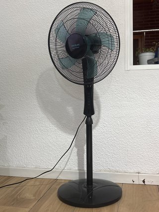 Ventilador de Pie Cecotec Negro