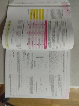 Economía 1 Bachillerato