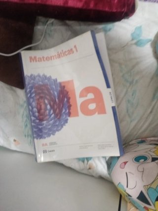 Matemáticas primero de bachillerato