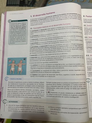 Desarrollo cognitivo y motor