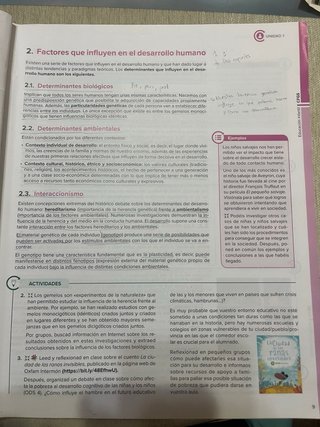 Desarrollo cognitivo y motor