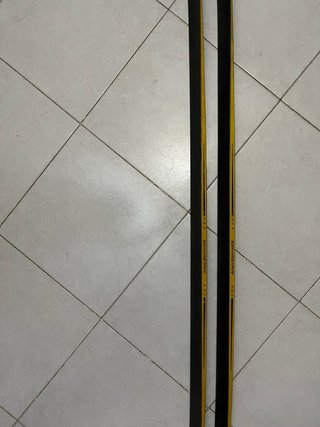 Esquís Dynastar Altitude Clásicos