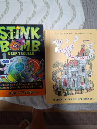 Lote libros juveniles en inglés
