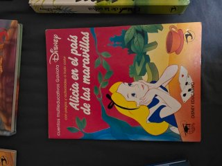 Lote de Cuentos clásicos disney