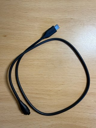 Garmin Forerunner 170