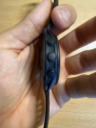 Garmin Forerunner 170