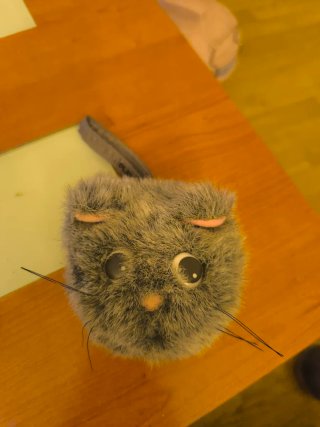 Peluche libro infantil Cosy Cat