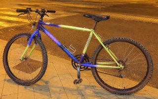 Bicicleta de Montaña